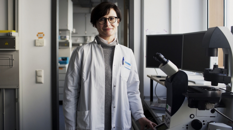 Ein Team um Prof. Alessandra Moretti hat das Verfahren zur Herstellung der Herz-Organoide entwickelt. Foto: Daniel Delang/TUM