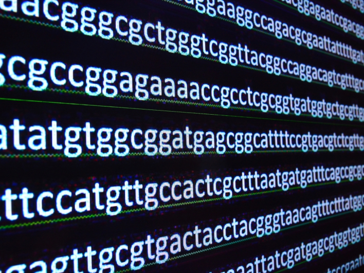 DNA Kette Humangenetik