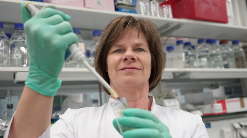 Prof. Ulrike Protzer ist Direktorin des Instituts für Virologie am Klinikum rechts der Isar der TUM
