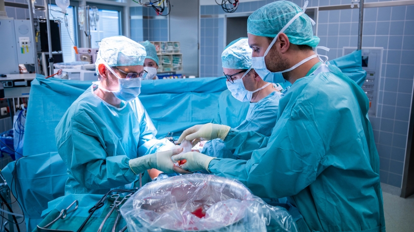 PD Dr. Volker Aßfalg setzt einem Patienten die Niere eines Lebendspenders ein.  Foto: Kathrin Czoppelt, Klinikum rechts der Isar