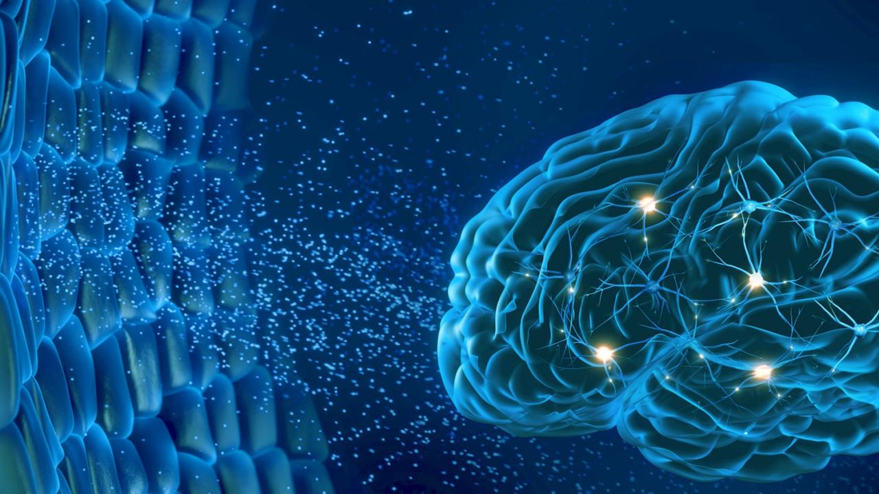 Bildmontage mit Gehirn und leuchtenden Neuronen Bildmontage mit Gehirn und leuchtenden Neuronen
